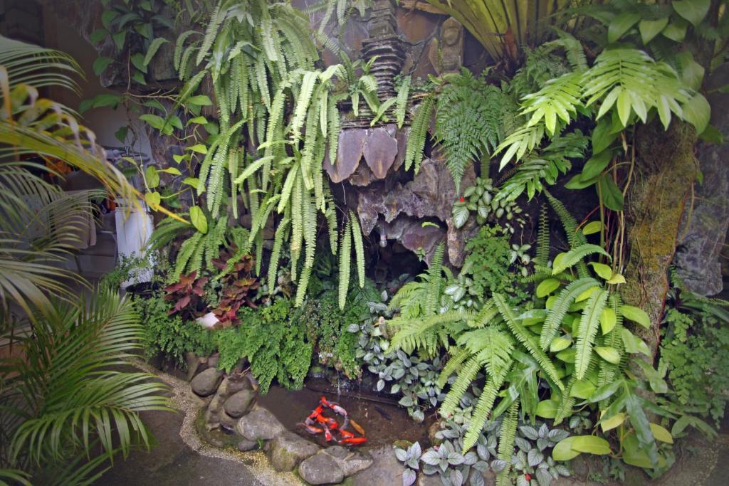 ウブドプラテー ホーム ステイアパートメント 部屋 写真